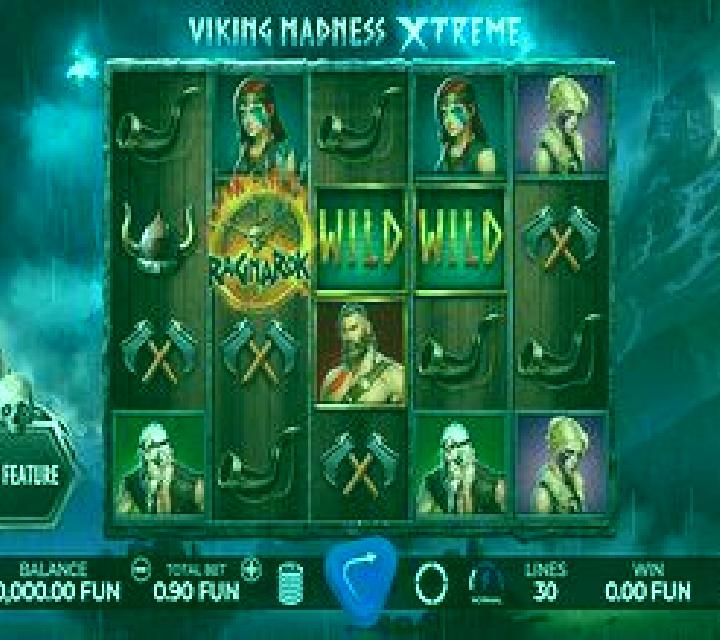 Viking Madness Xtreme slot