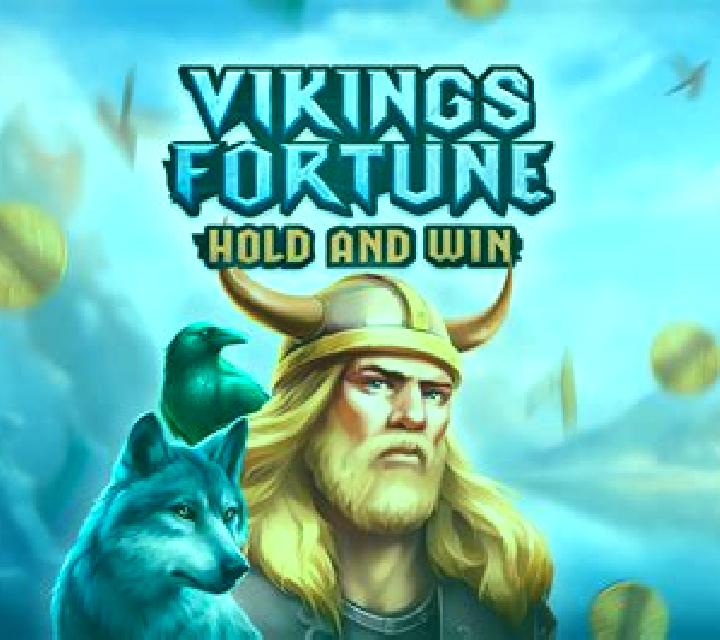 Vikings Fortune: Hold and Win slot game