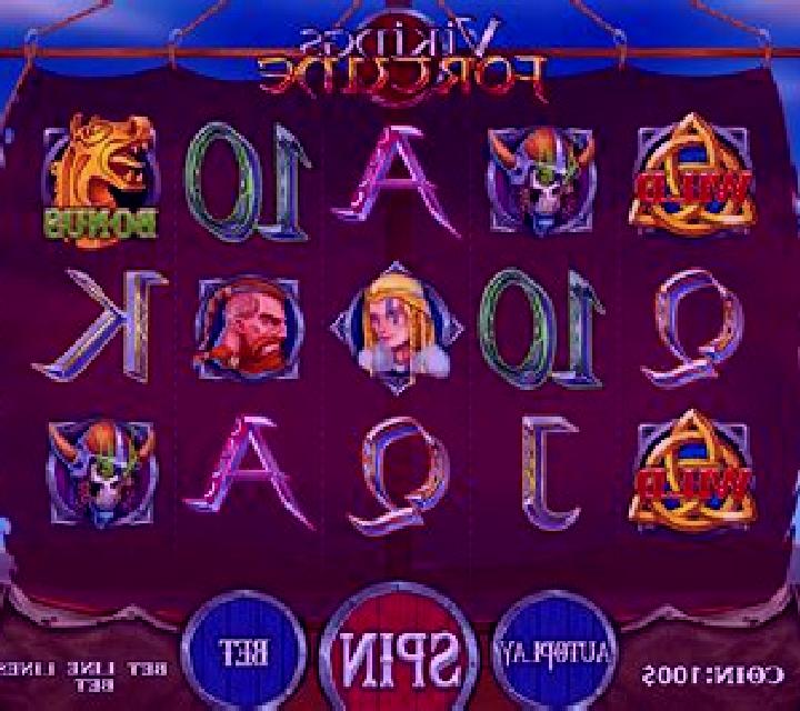 Vikings Fortune slot game