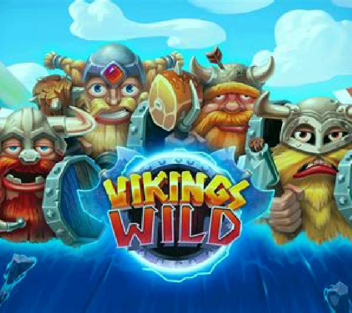 Viking s Fun (Casino Technology) slot