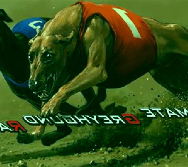 Virtual Greyhound Races slot game