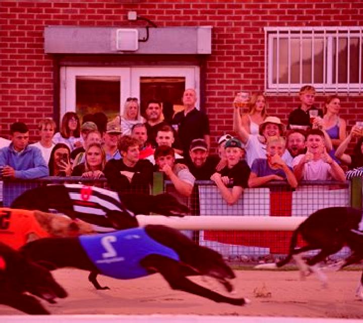 Virtual Greyhound Races slot machine
