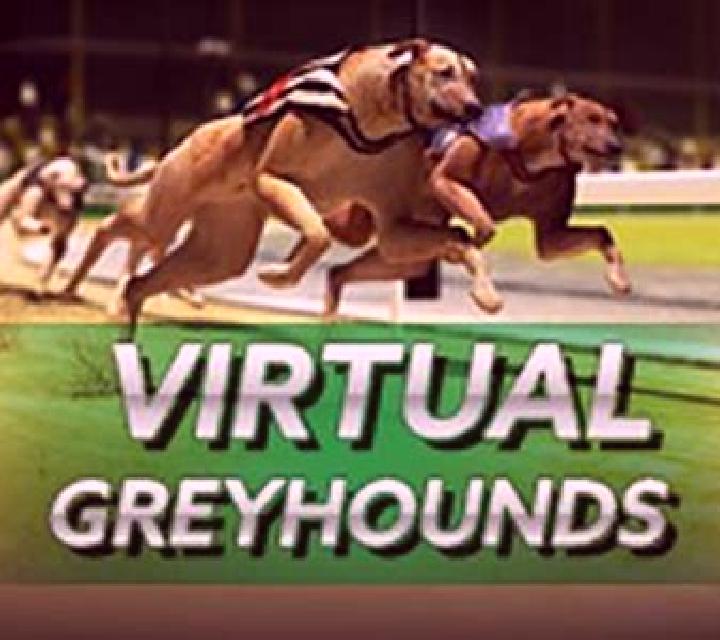 Virtual Greyhounds slot game