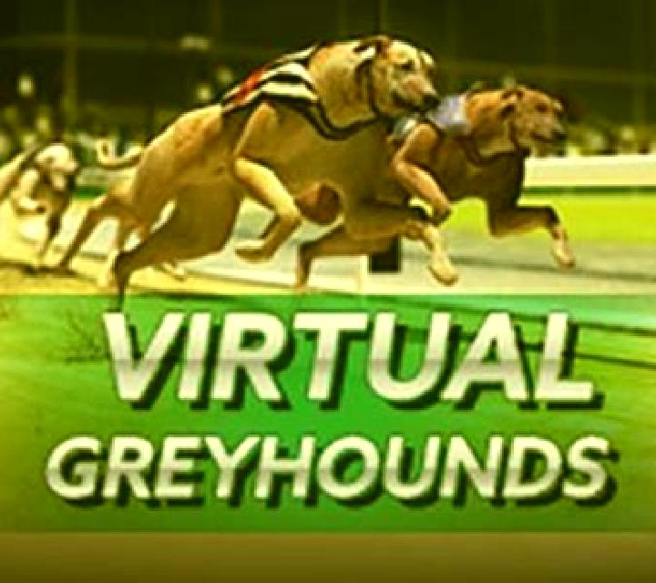 Virtual Greyhounds slot