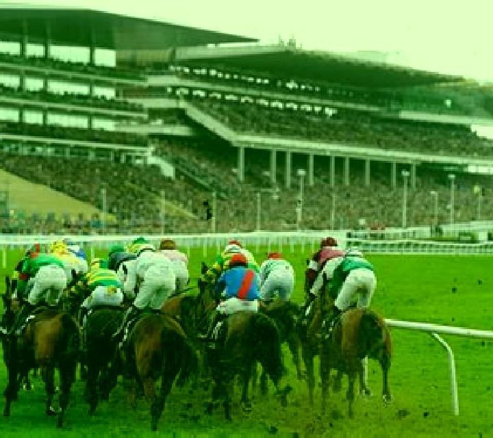 Virtual! Horse Racing at Cheltenham Festival online slot