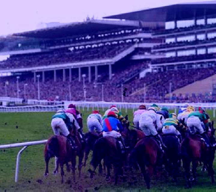 Virtual! Horse Racing at Cheltenham Festival slot game
