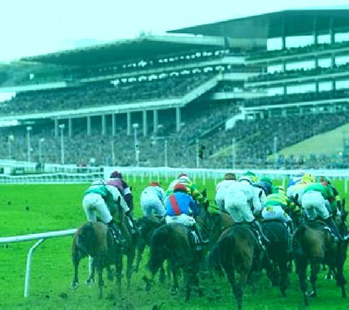 Virtual! Horse Racing at Cheltenham Festival slot machine