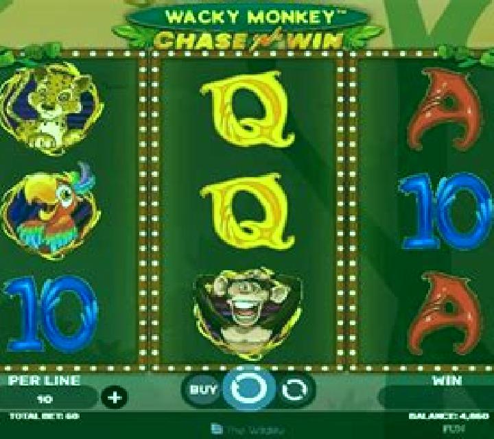 Wacky Monkey Chase’N’Win slot machine