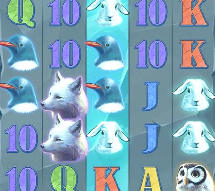 Walrus King slot machine