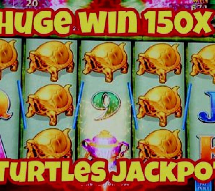 War Turtle slot machine