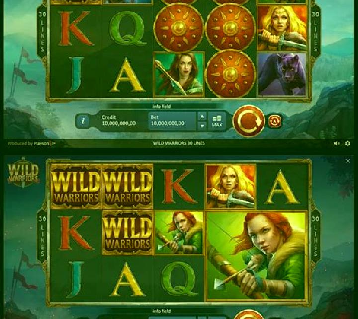 Warrior s Luck slot game