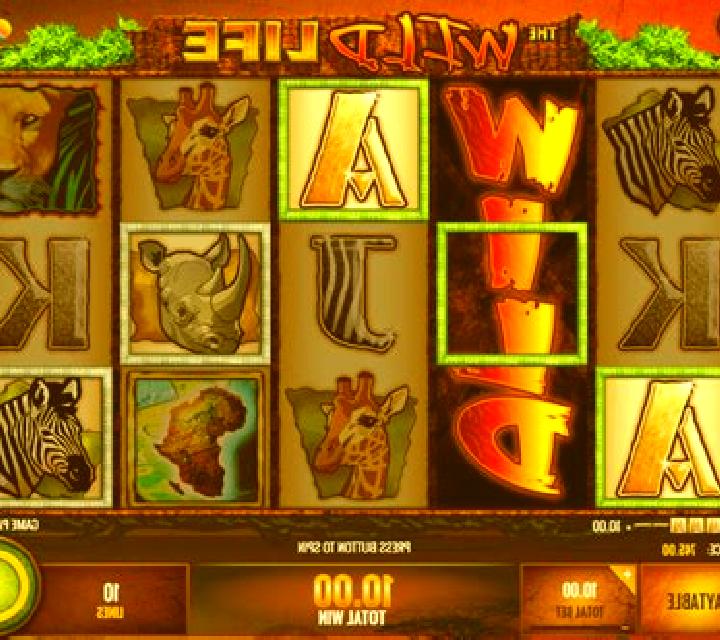 Wealth and Happy Life slot game