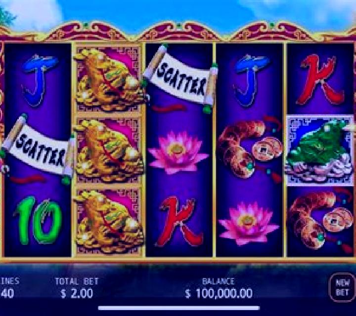 Wealth Toad online slot