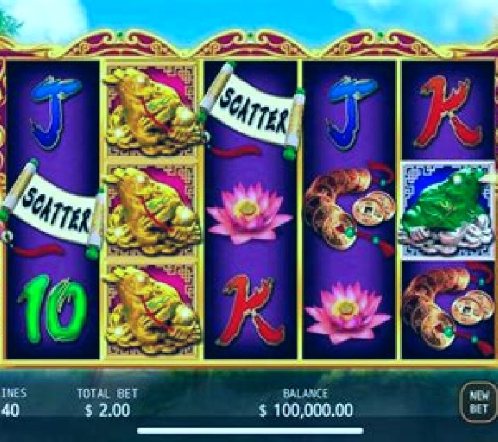Wealth Toad slot