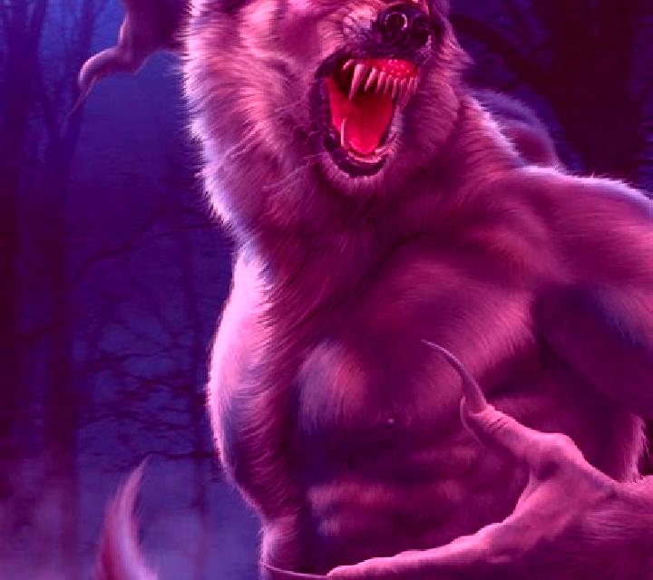 Werewolf (PlayStar) online slot