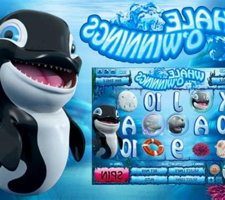 Whale O Winnings slot game