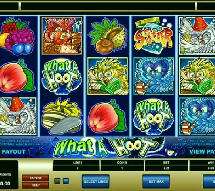 What a Hoot online slot