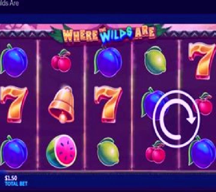 Where the Wilds Are slot