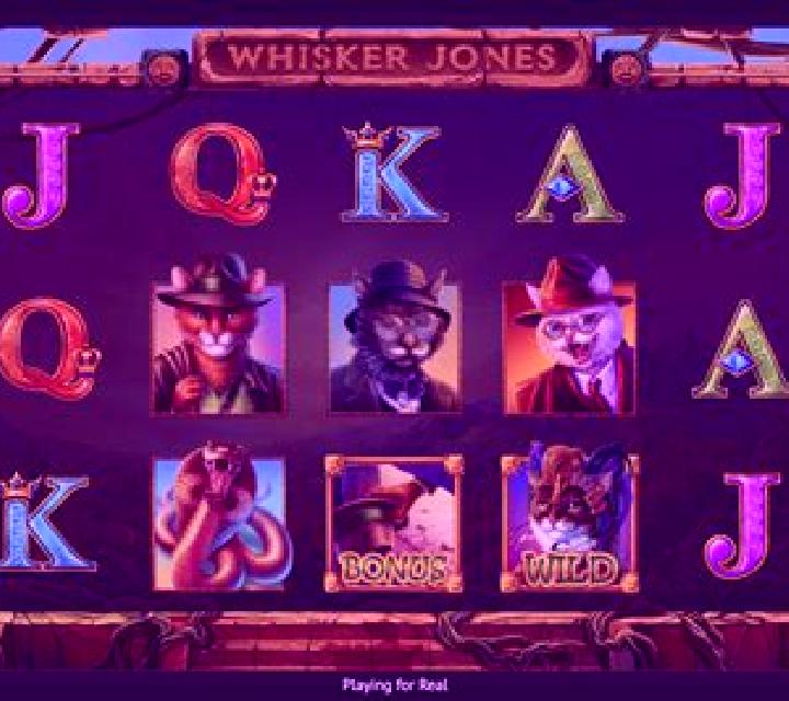 Whisker Jones slot game