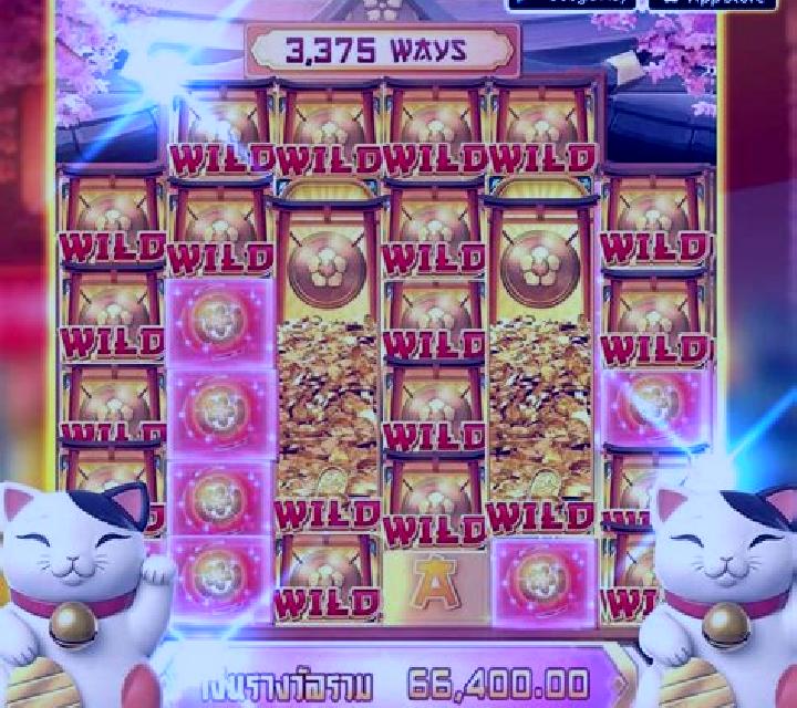 White Nose Cat slot game