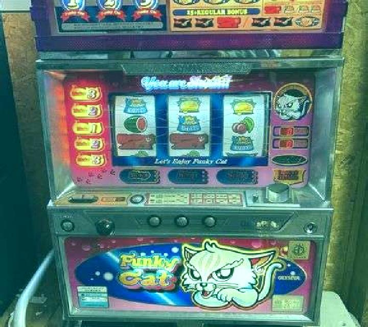 White Nose Cat slot machine