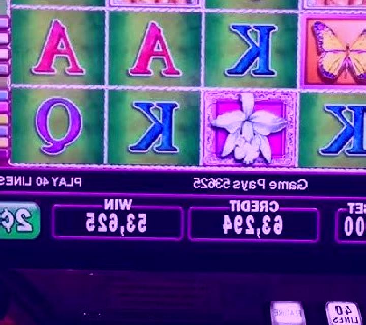 White Orchid slot game