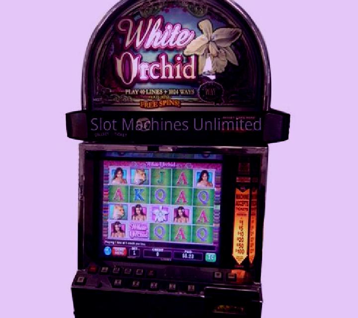 White Orchid slot machine