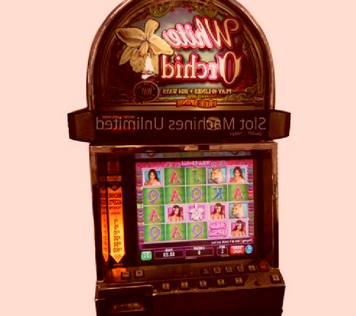 White Orchid slot