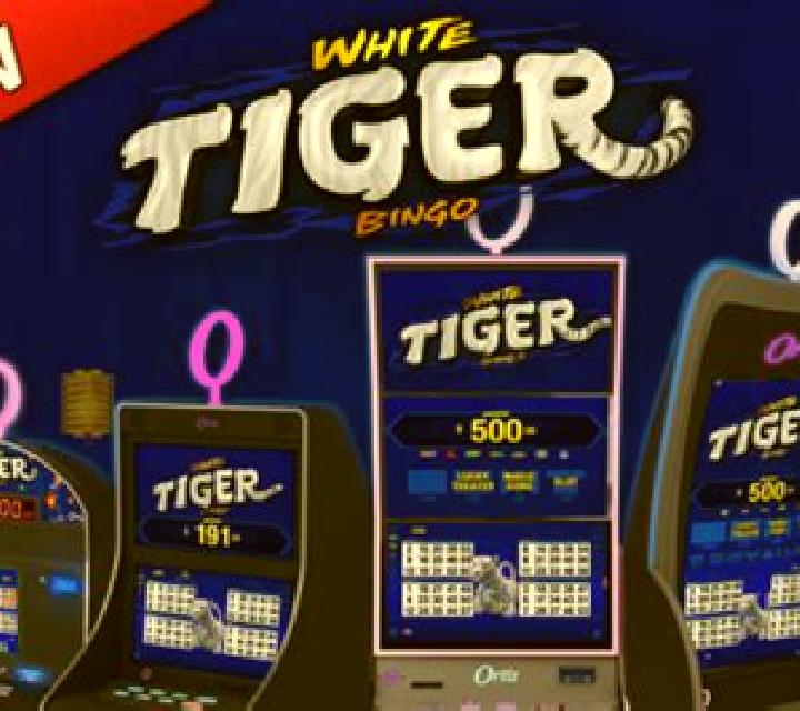 White Tiger Bingo online slot