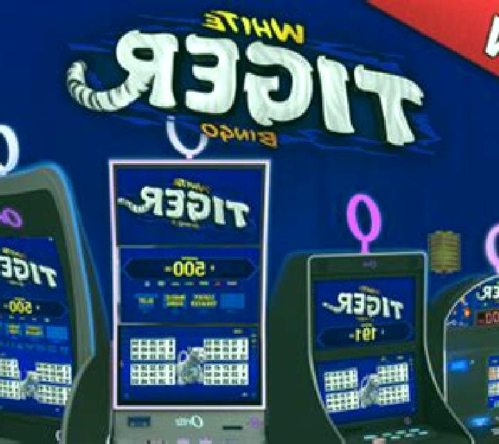 White Tiger Bingo slot
