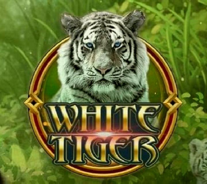 White Tiger (Funky Games) slot game