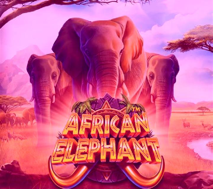 Wild Adventure Big 5 Elephant Edition online slot