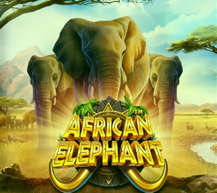 Wild Adventure Big 5 Elephant Edition slot game