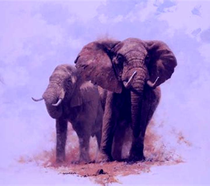 Wild Adventure Big 5 Elephant Edition slot