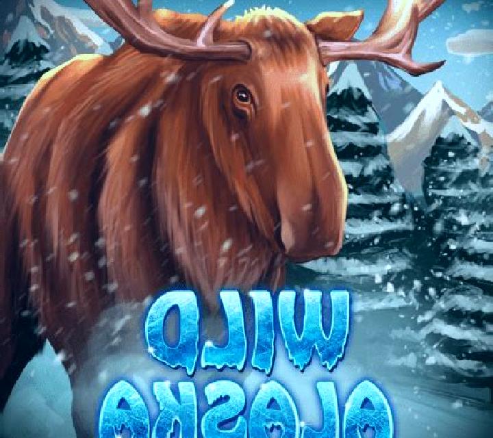 Wild Alaska slot game