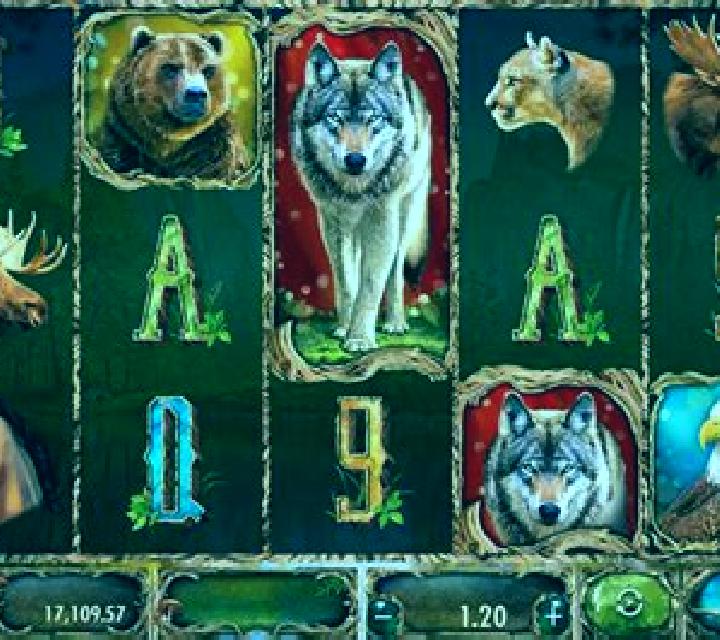 Wild Animals slot game