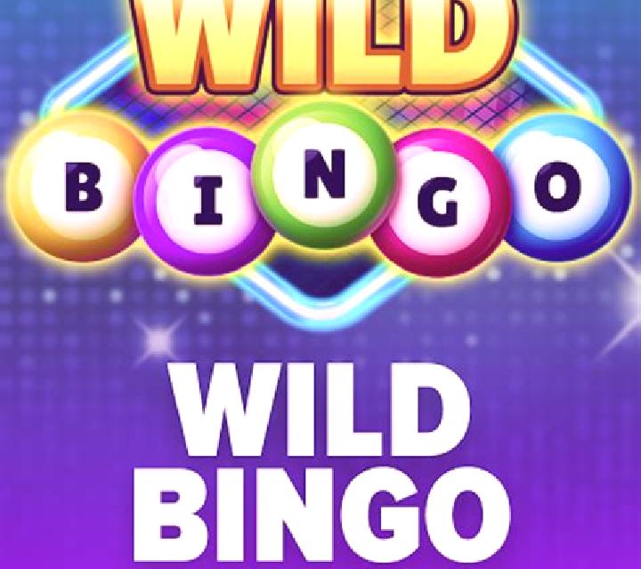 Wild Bingo slot game