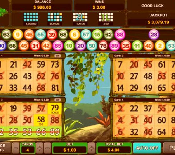 Wild Bingo slot machine