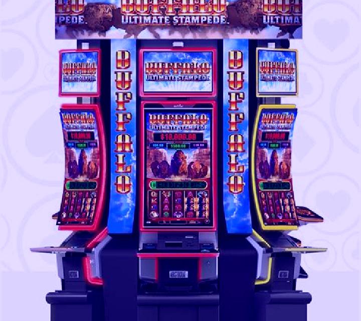 Wild Bison Stampede slot machine