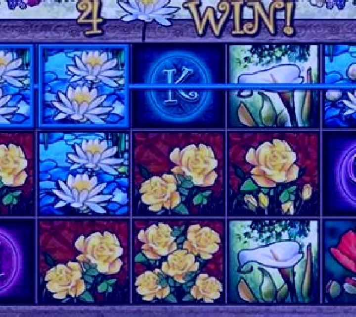 Wild Bloom slot game