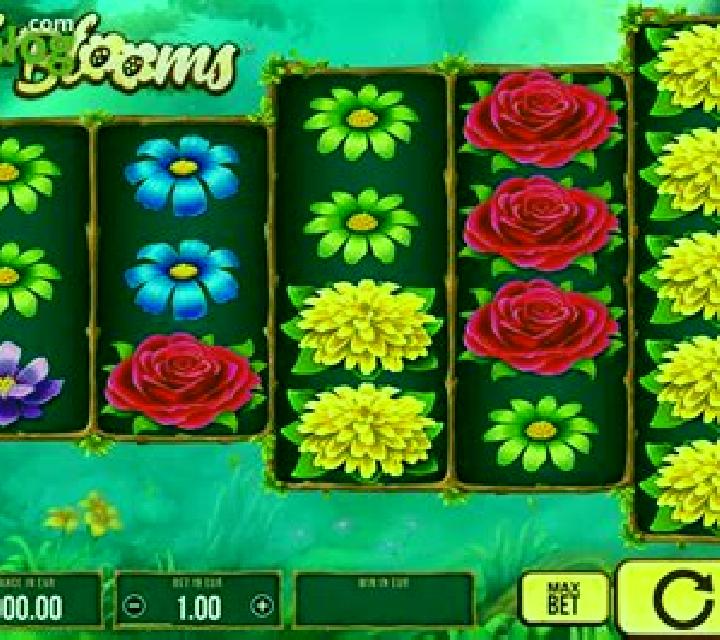 Wild Bloom slot