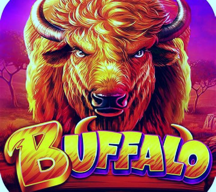 Wild Buffalo: Rapid Link slot machine