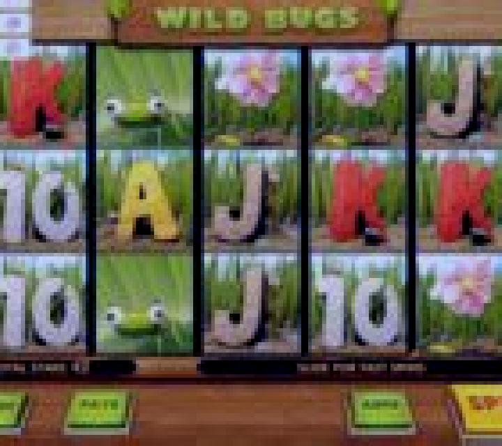 Wild Bugs online slot