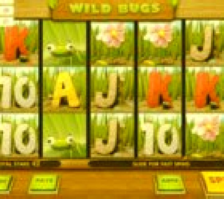 Wild Bugs slot
