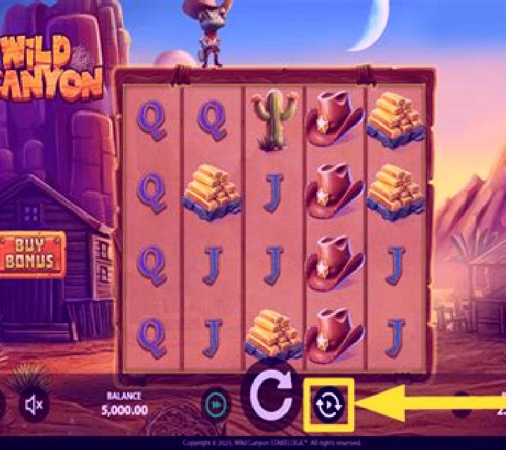 Wild Canyon slot
