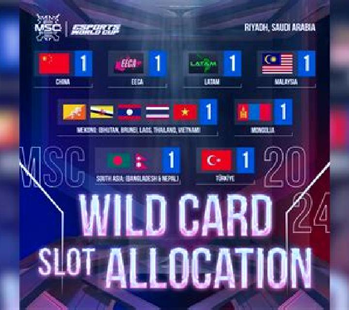 Wild Card slot game