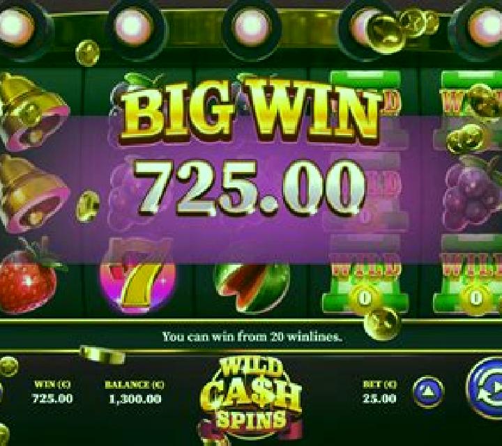 Wild Cash Spins slot game