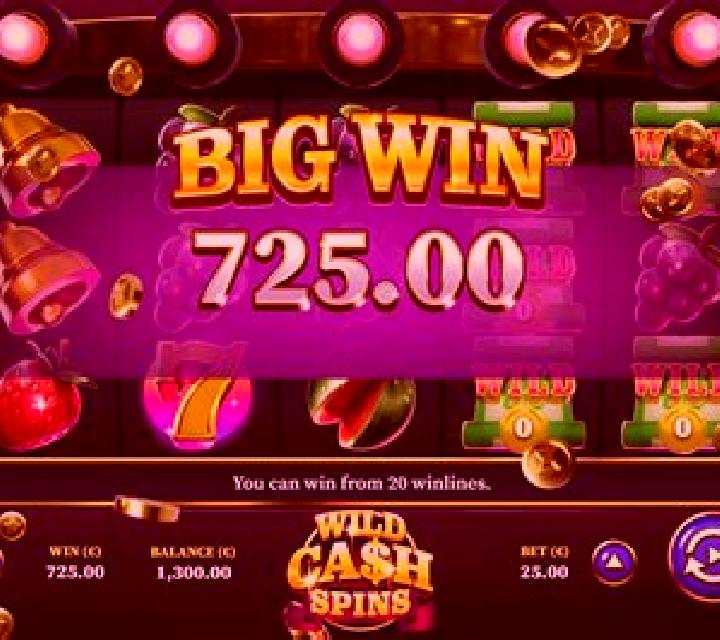 Wild Cash Spins slot machine