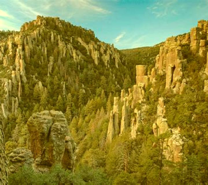 Wild Cat Canyon online slot