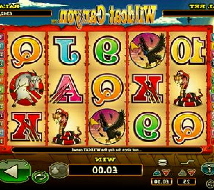 Wild Cat Canyon slot game